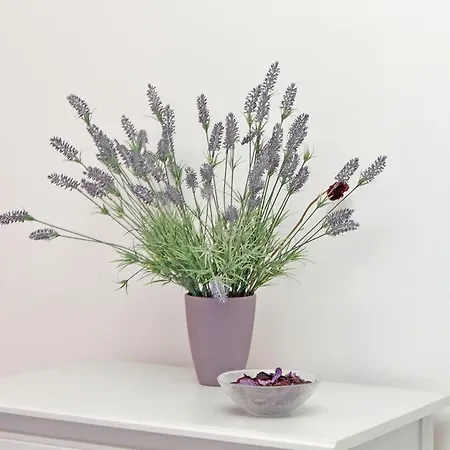 Lägenhet Victoria *